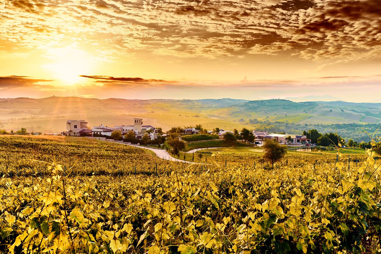 Melnik Wine Route