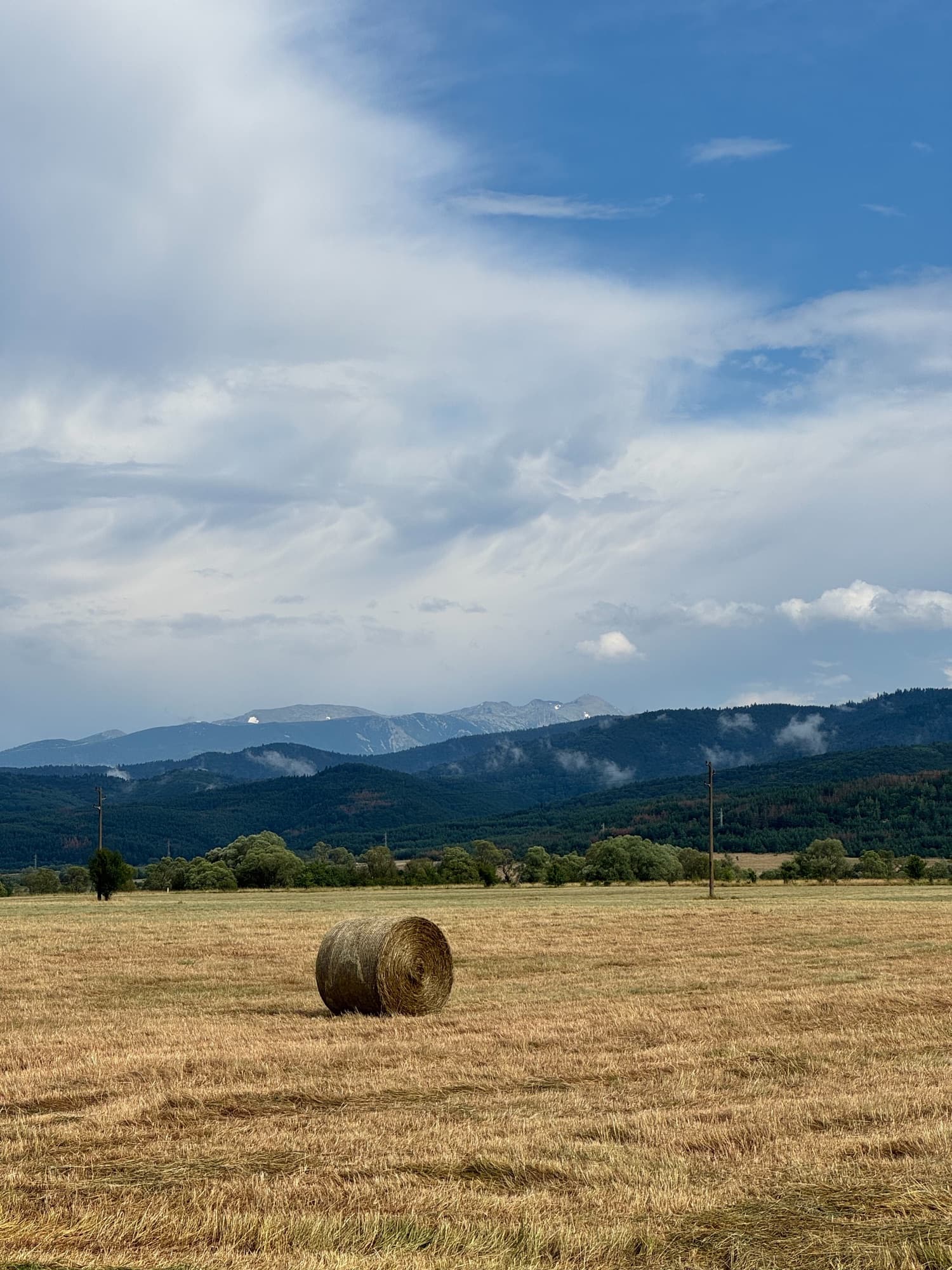 Pirin Mountain Nature Discovery