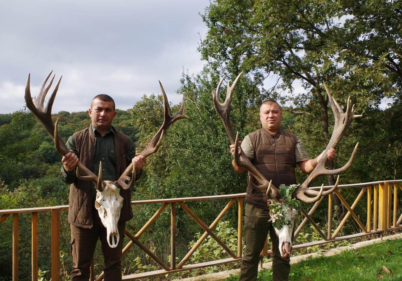 Hunting in Bulgaria — forest at first light