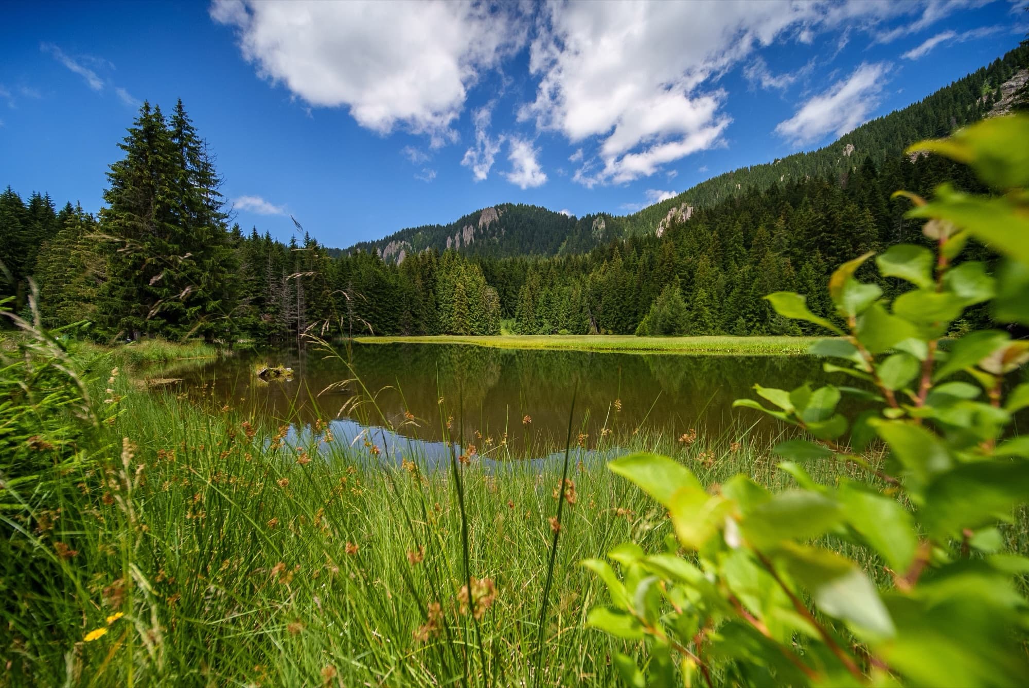 8 days Rhodope Mountains SPA & Adventure